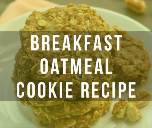 healthy oatmeal cookies